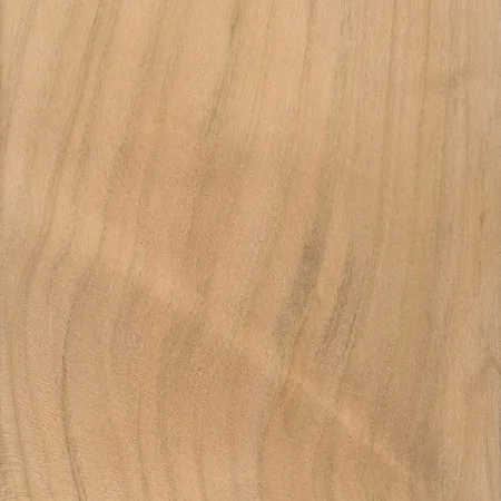 Wood grain of American cherry — fine North American deciduous wood with warm hue at CIB Wood