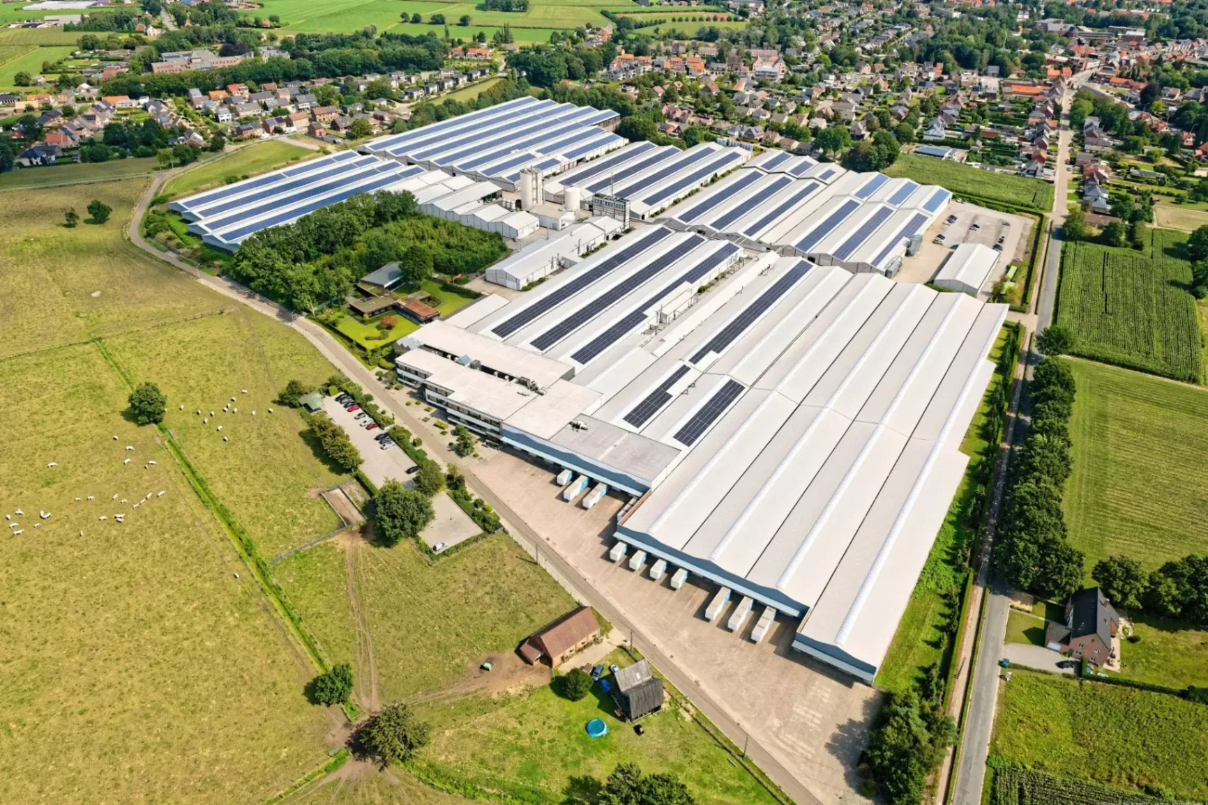 Usine de production du groupe Mintjens à Westmalle, partenaire de CIB Wood pour les feuillus premium