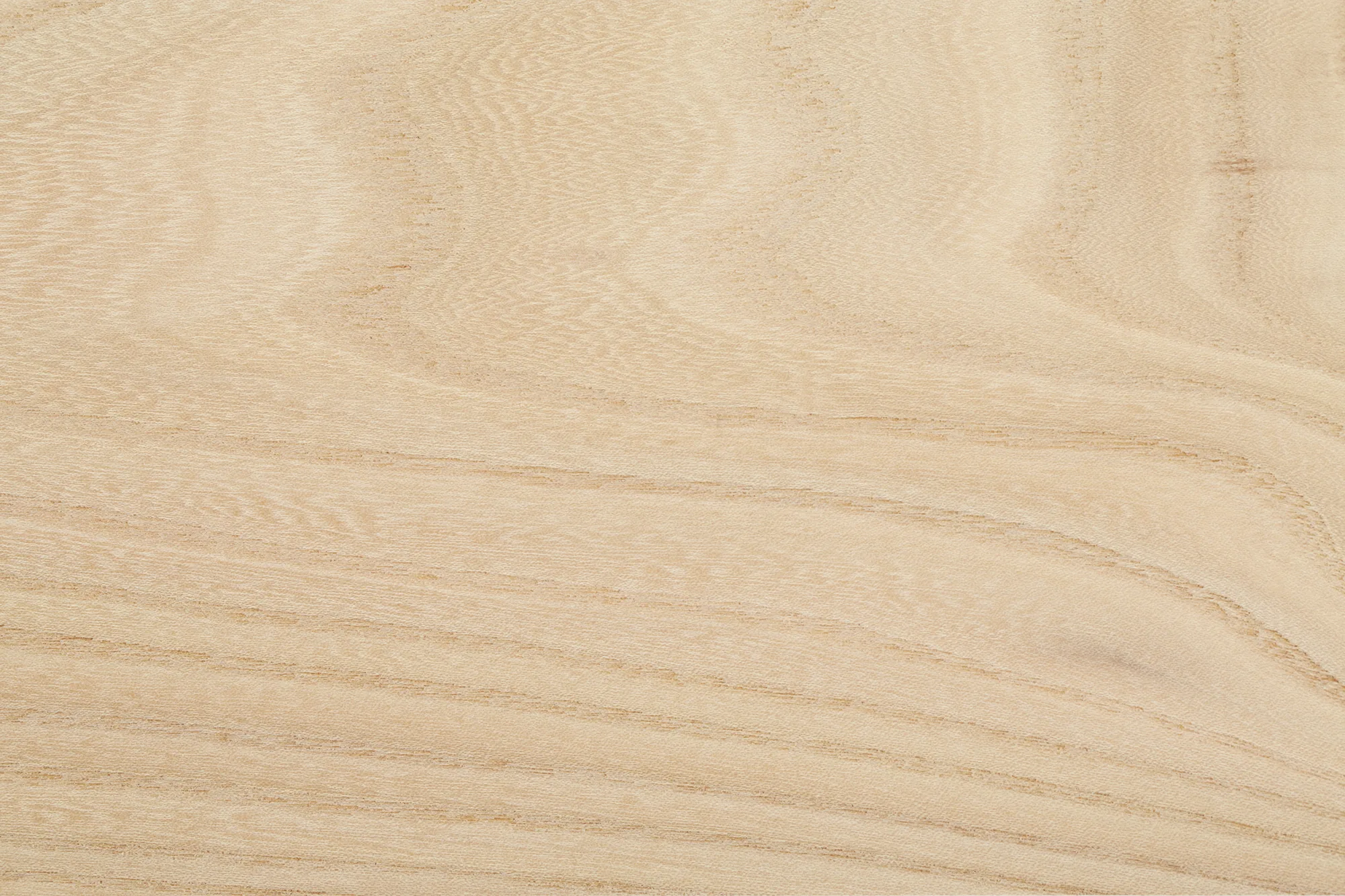 Veinage de l'orme rouge américain — feuillus nord-américain aux tons chauds chez CIB Wood — photo d'exemple 1