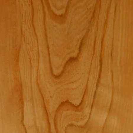 Holzmaserung der amerikanischen Rotulme (red elm) — warm getöntes nordamerikanisches Laubholz bei CIB Wood