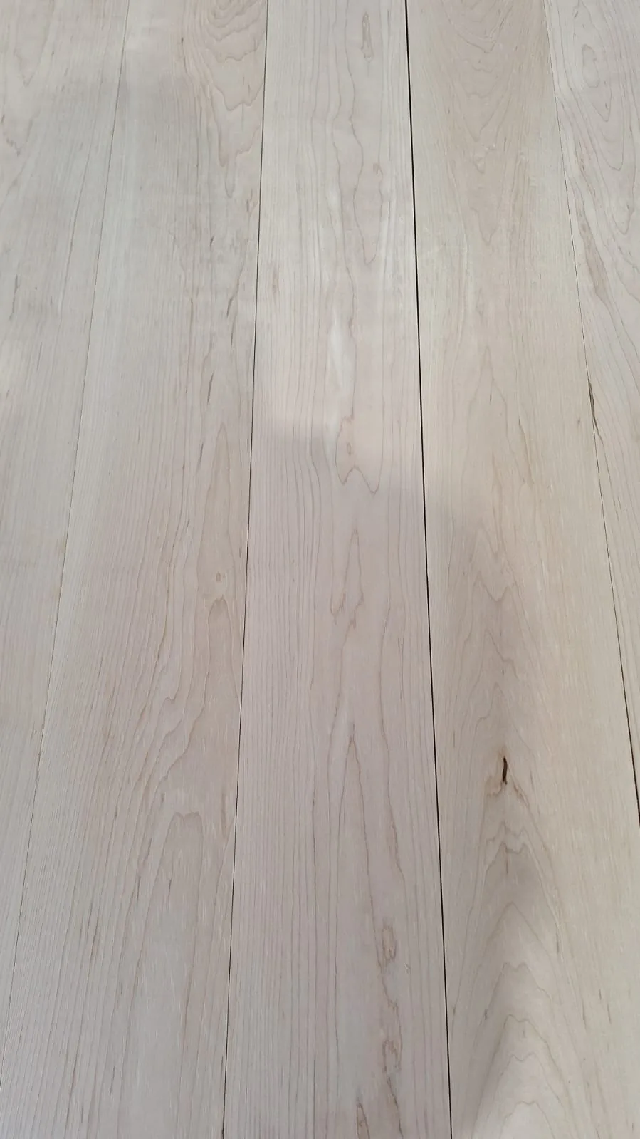 Wood grain of European sycamore maple (Acer pseudoplatanus) — pale European deciduous wood at CIB Wood — sample photo 1
