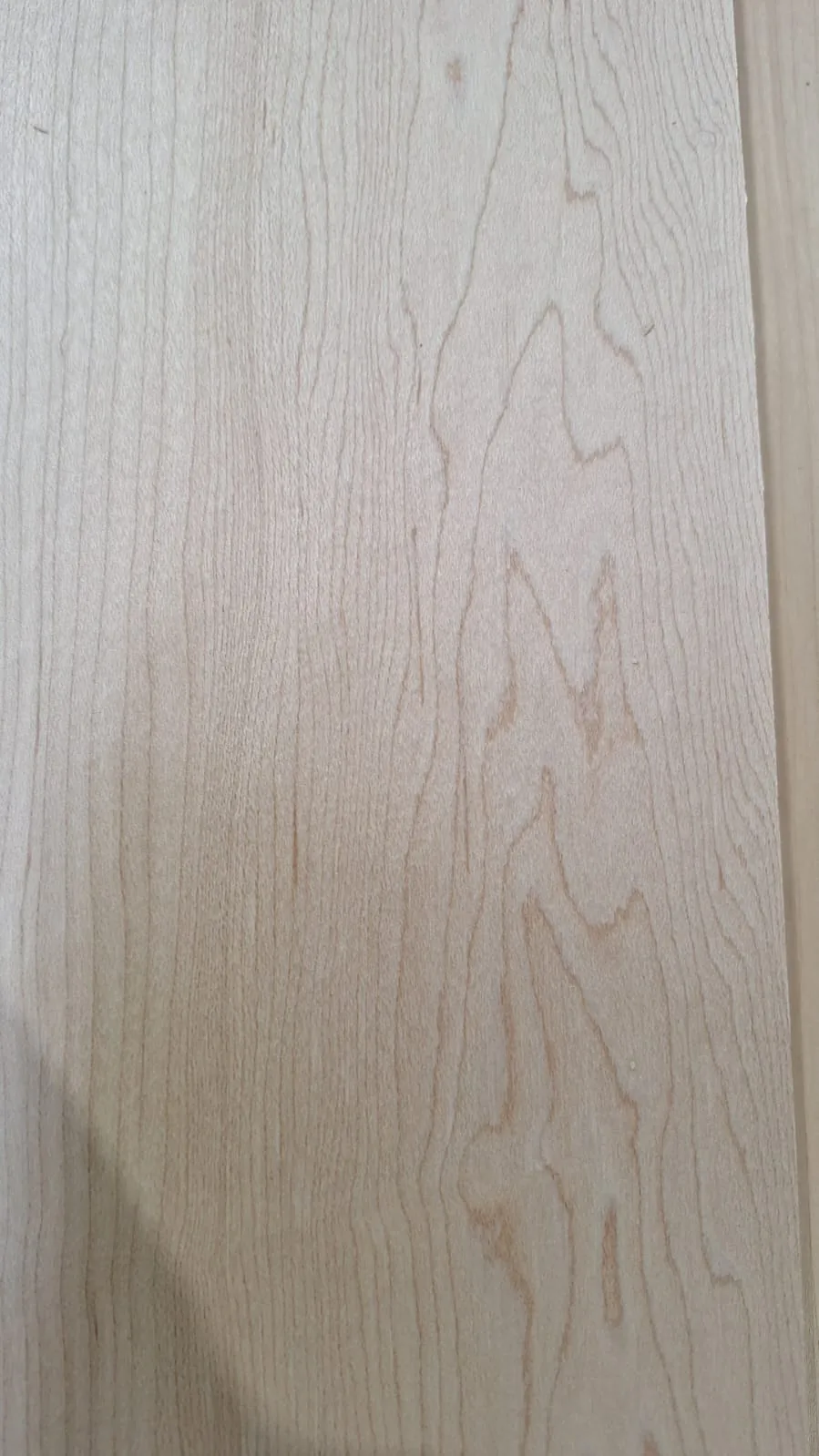 Wood grain of European sycamore maple (Acer pseudoplatanus) — pale European deciduous wood at CIB Wood — sample photo 3